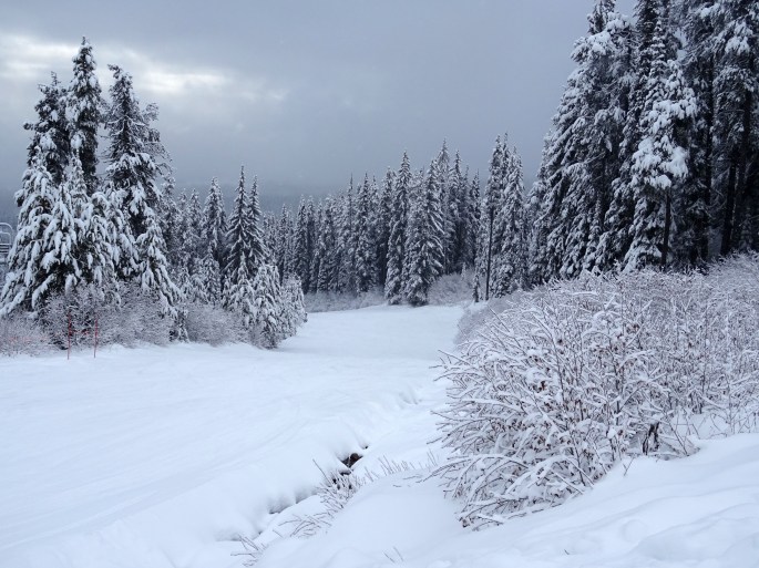 PVT Canada : Retour d'expérience d'un emploi saisonnier en station de ski, Big White Ski Resort, Colombie Britannique
