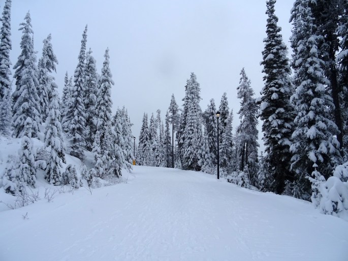 Retour d'expérience PVT Canada, emploi saisonnier en station de ski, Big White Ski Resort, Colombie Britannique