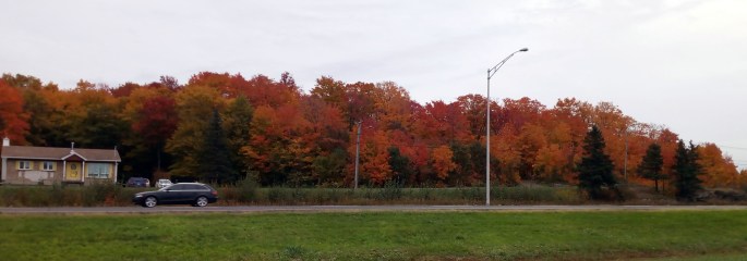 Paysage d'automne au Québec vue depuis la route
