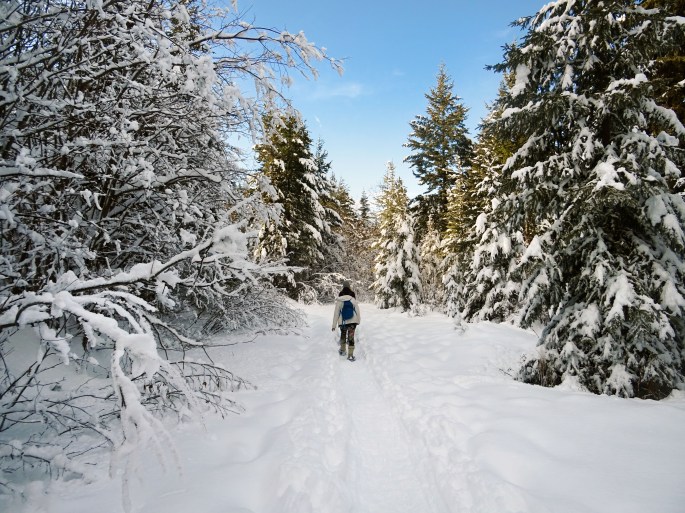 Randonnée raquette Kelowna panorama ridge trail Telemark, Okanagan valley Canada hiver