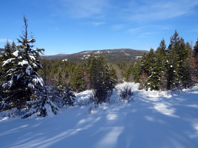 Activité hivernale à Kelowna : faire de la randonnée à Kelowna, Telemark, panorama ridge trail 
