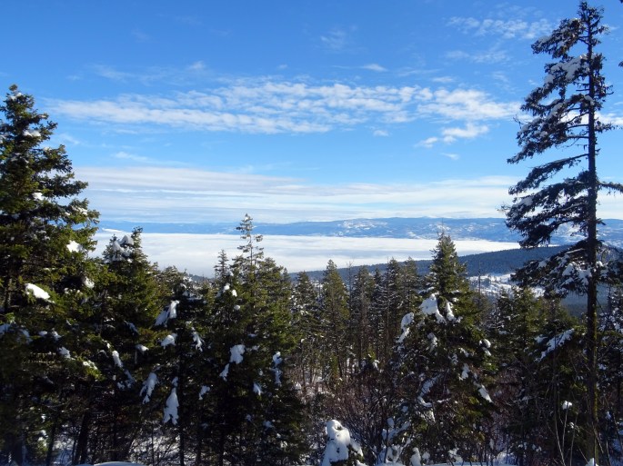 Randonnée raquette Kelowna Telemark panorama ridge trail Okanagan valley Canada hiver