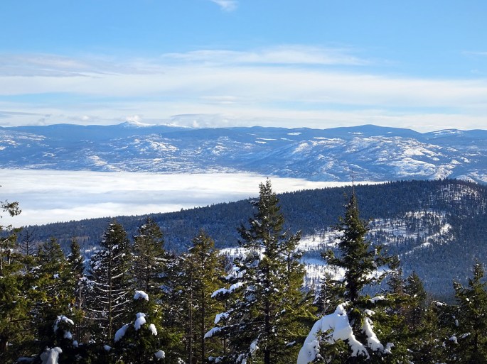 Randonnée raquette au Canada en hiver : Telemark, panoramic ridge trail, Kelowna, Okanagan valley 
