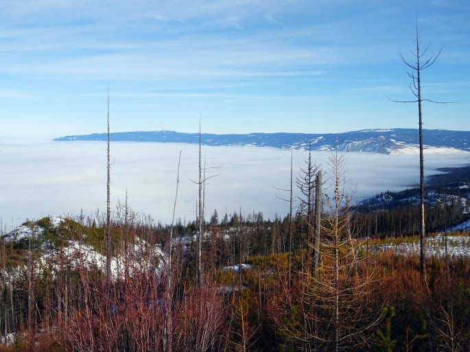 Randonnée Canada hiver Kelowna Kettle valley railway naramata section okanagan valley