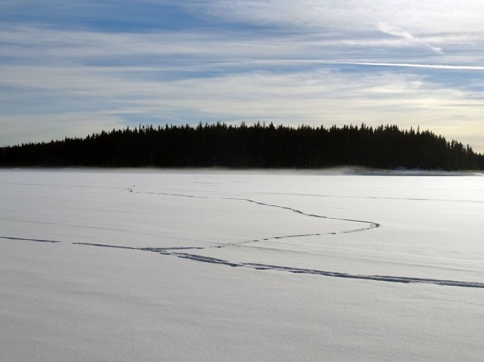 Randonnée raquette sur lac gelé (Hydraulic lake) Kelowna, Vallée d'Okanagan Canada British columbia