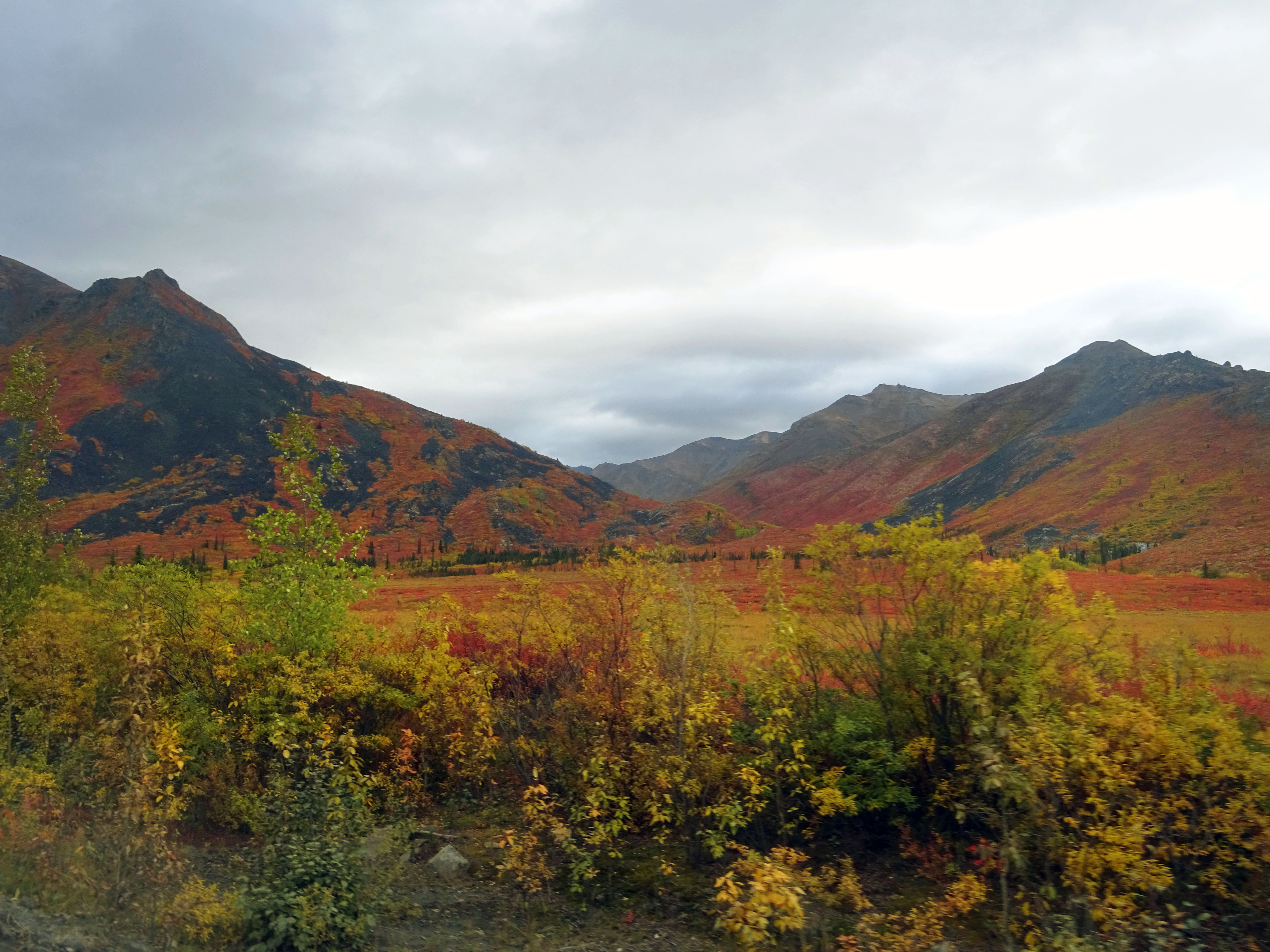 Automne au Parc Territorial de Tombstone, Dempster Highway