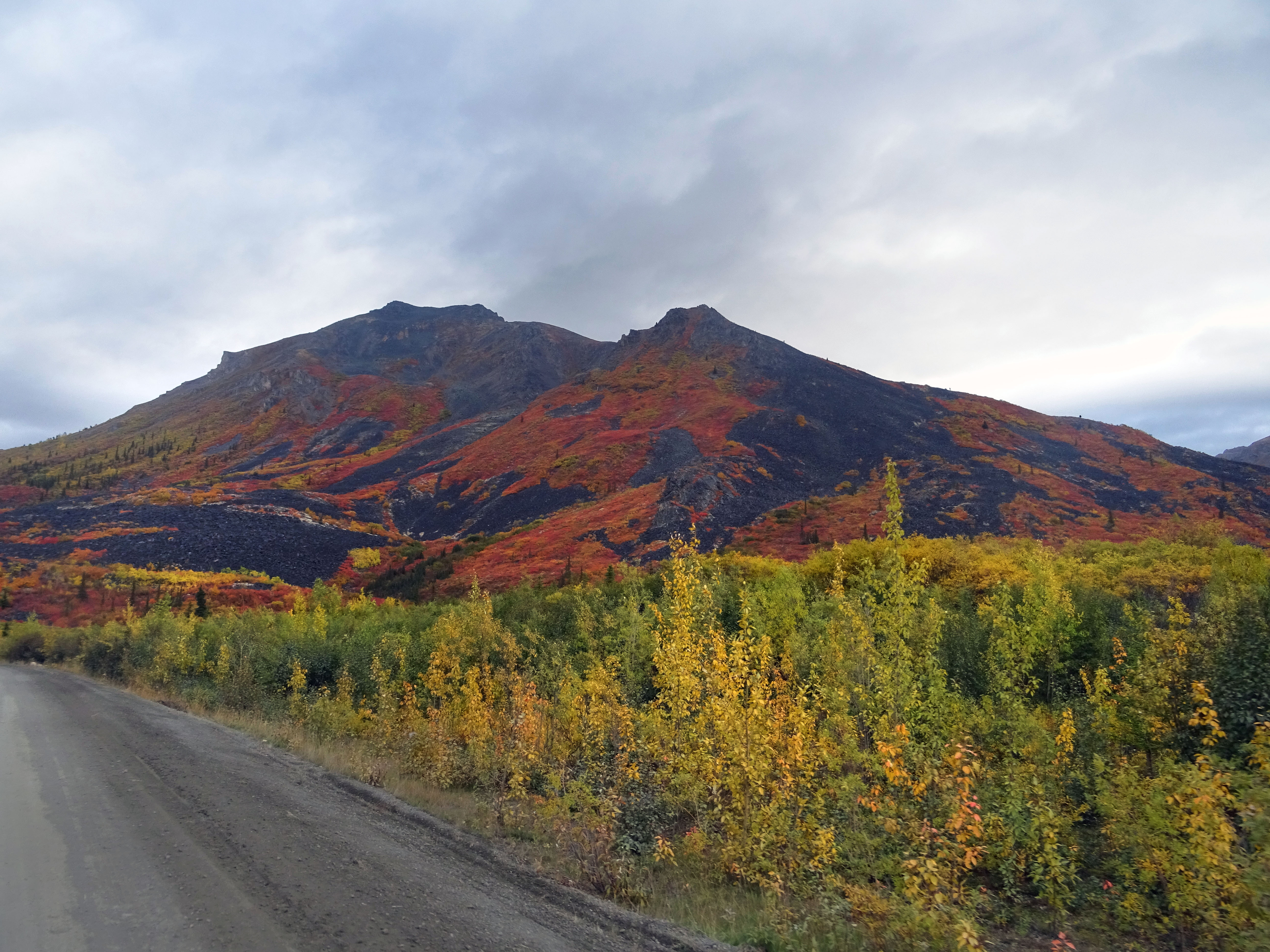 Automne au parc territorial de Tombstone, Yukon, Dempster Highway