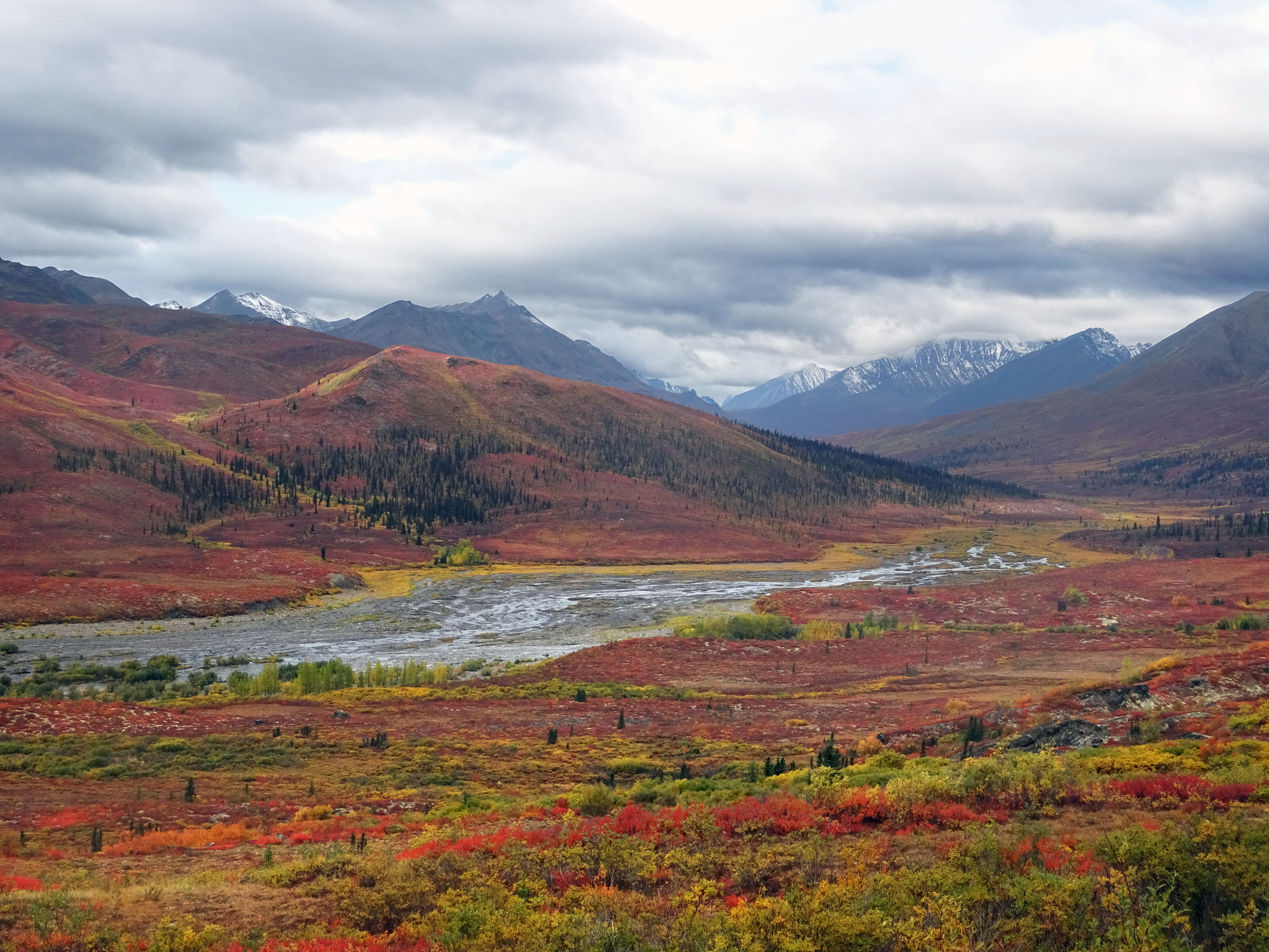 Automne au parc territorial de Tombston, Territoire du Yukon, Dempster Highway