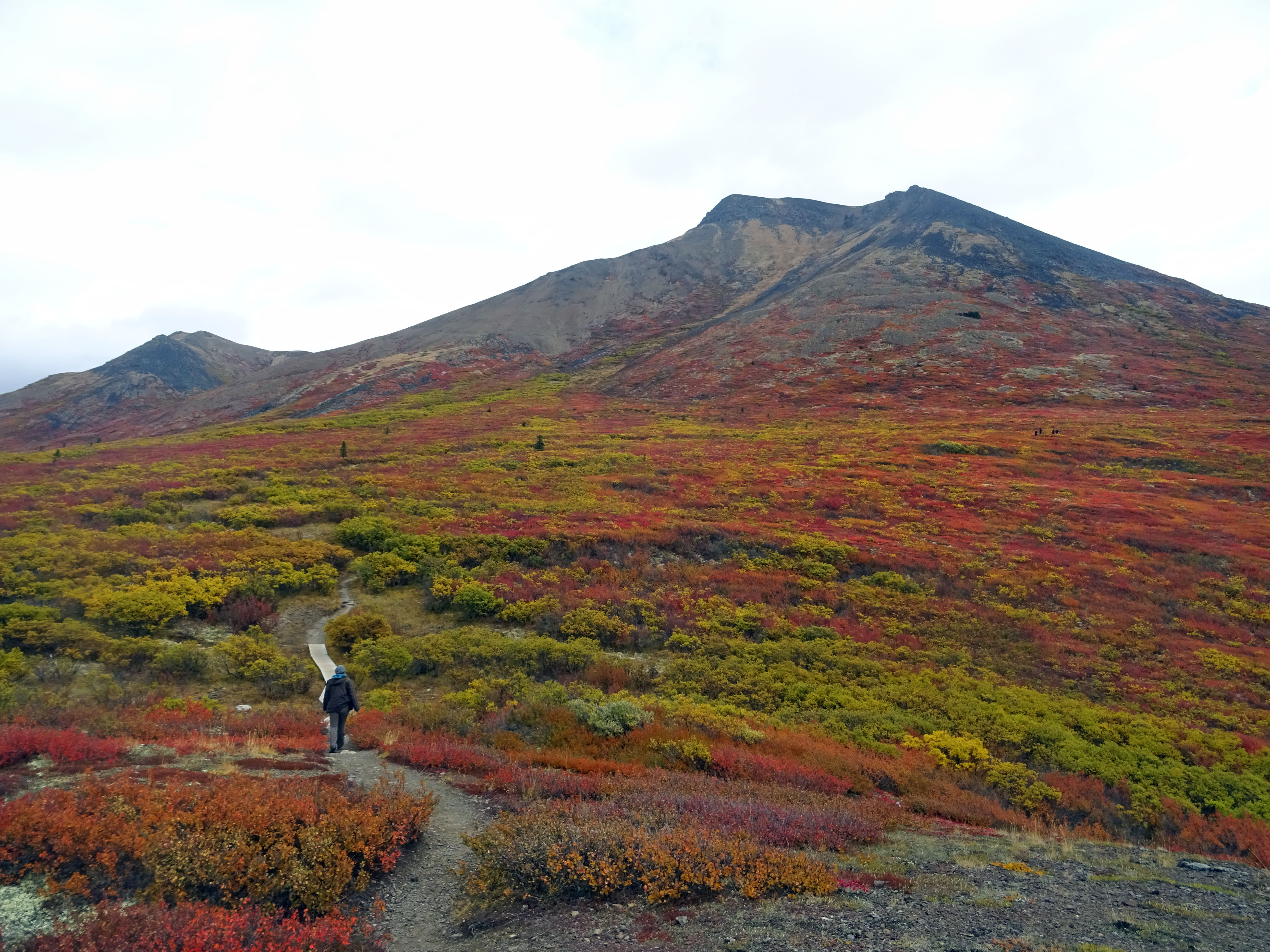Randonnée Goldensides au parc territorial de Tombstone, Yukon, Dempster Highway