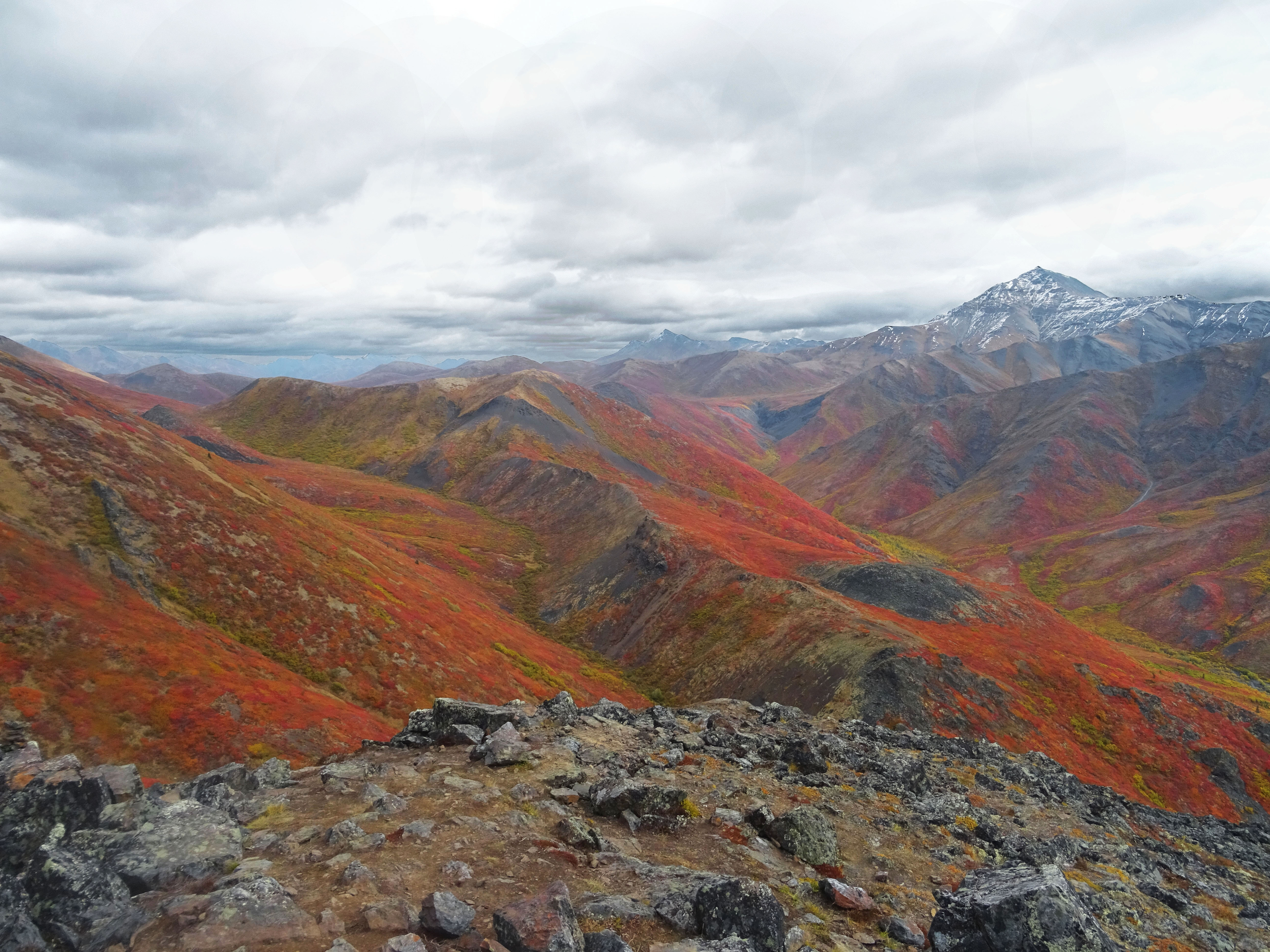 Randonnée Goldensides, automne au parc territorial de Tombstone, Yukon