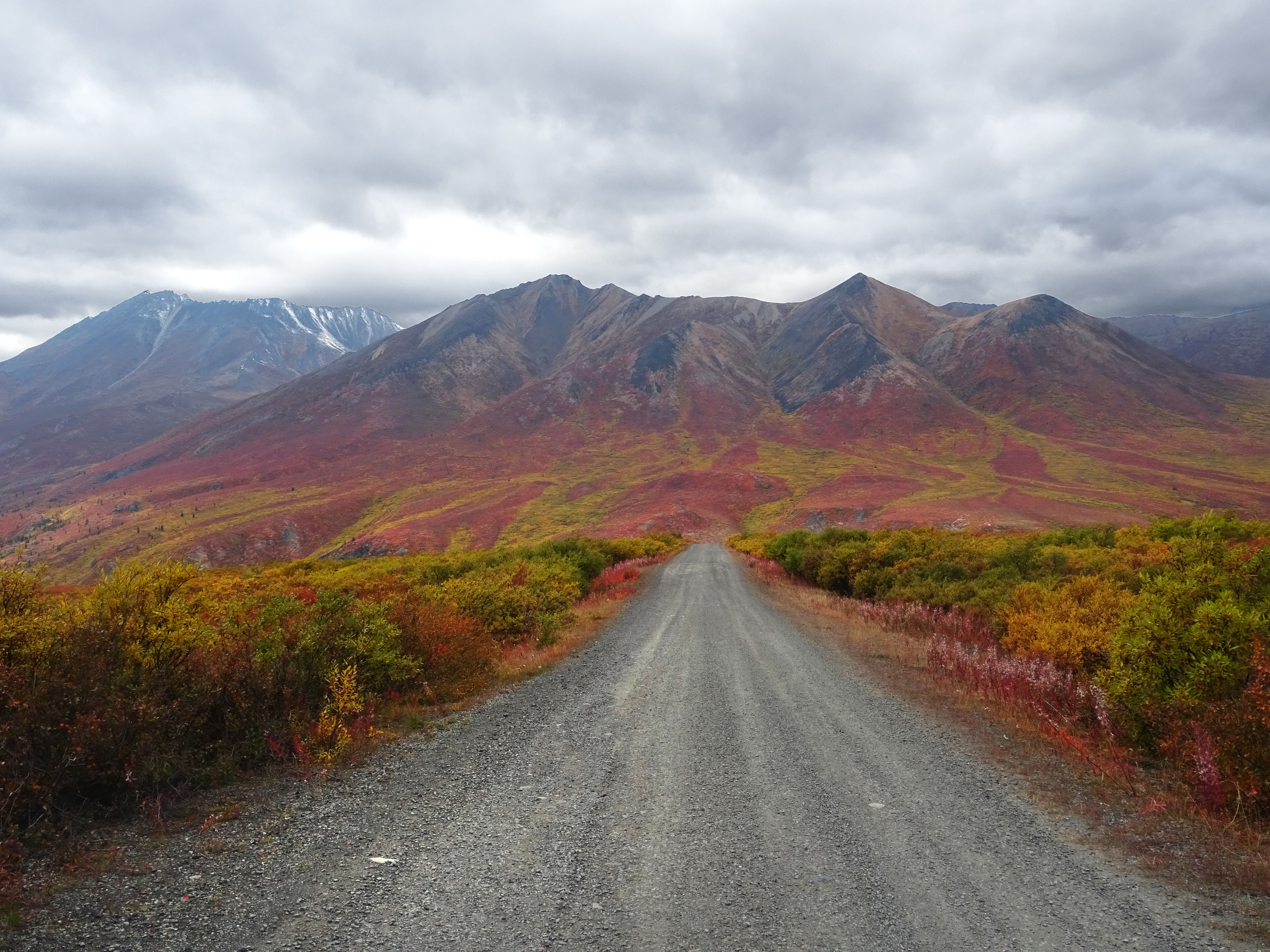 Randonnée Goldensides, Tombstone territorial park, Yukon, Canada
