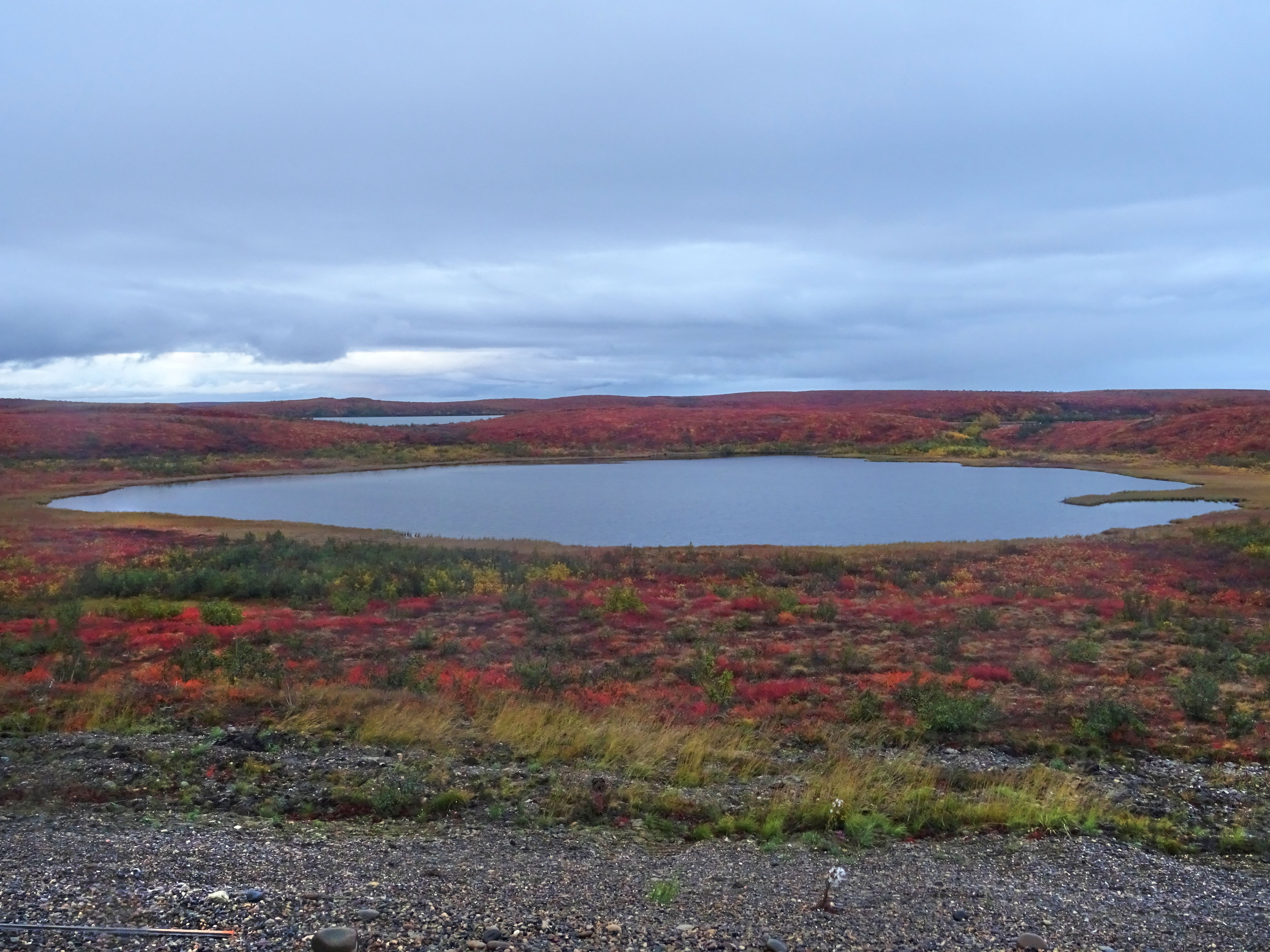 Route vers Tuktoyaktuk, Canada