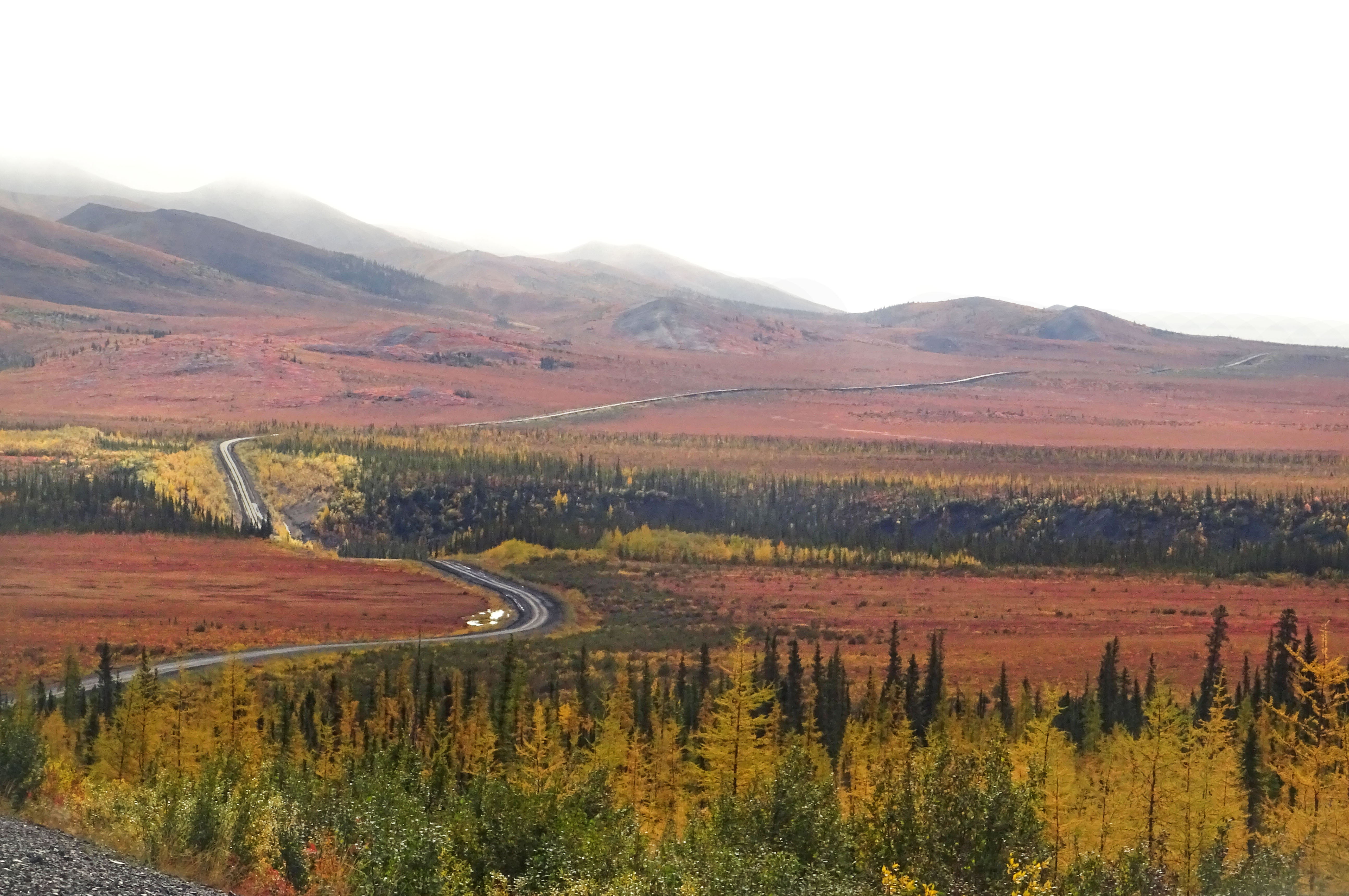 Automne sur la Dempster Highway, Yukon, Canada