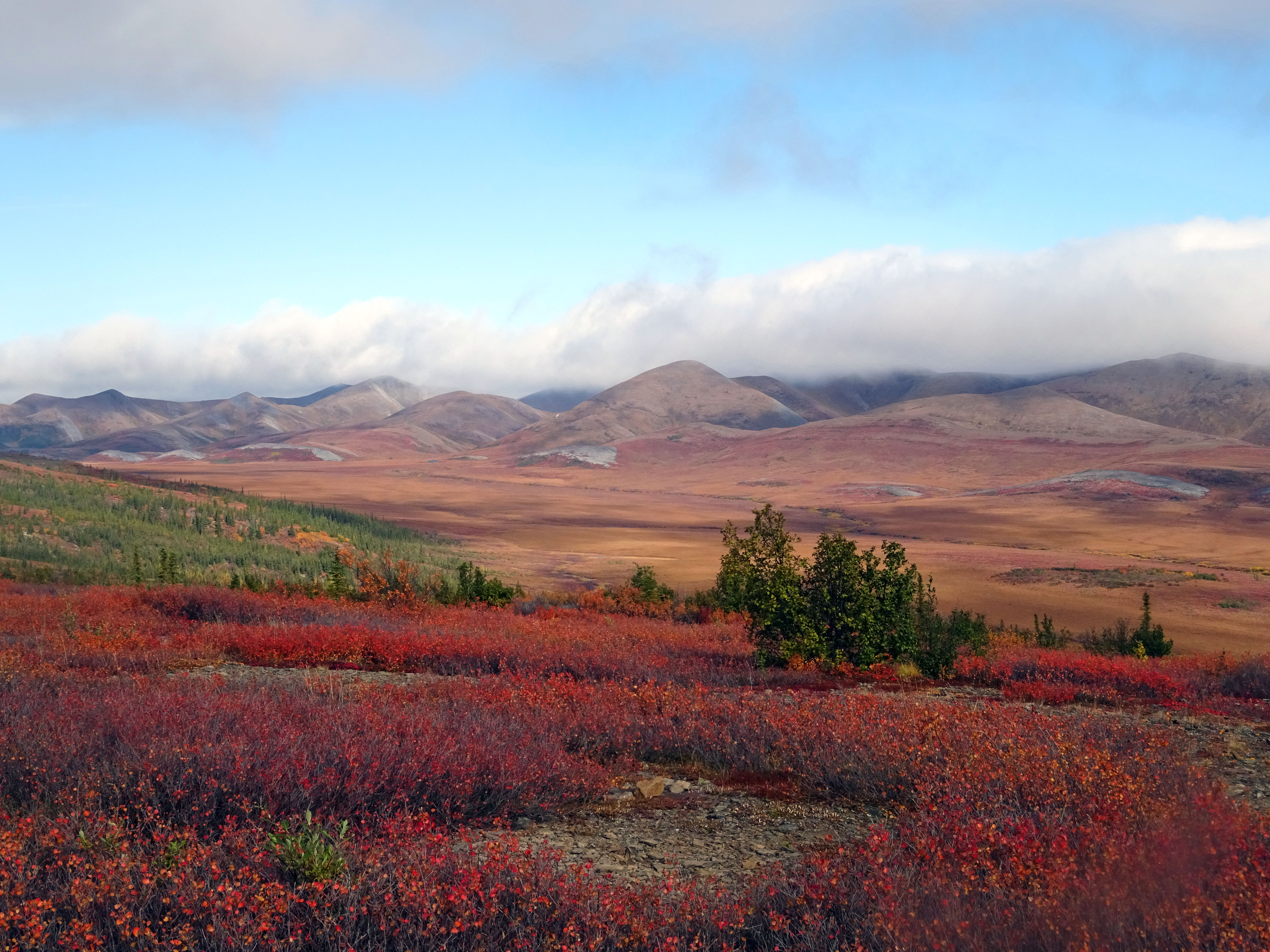 Cercle arctique, Dempster Highway, Yukon territory en automne