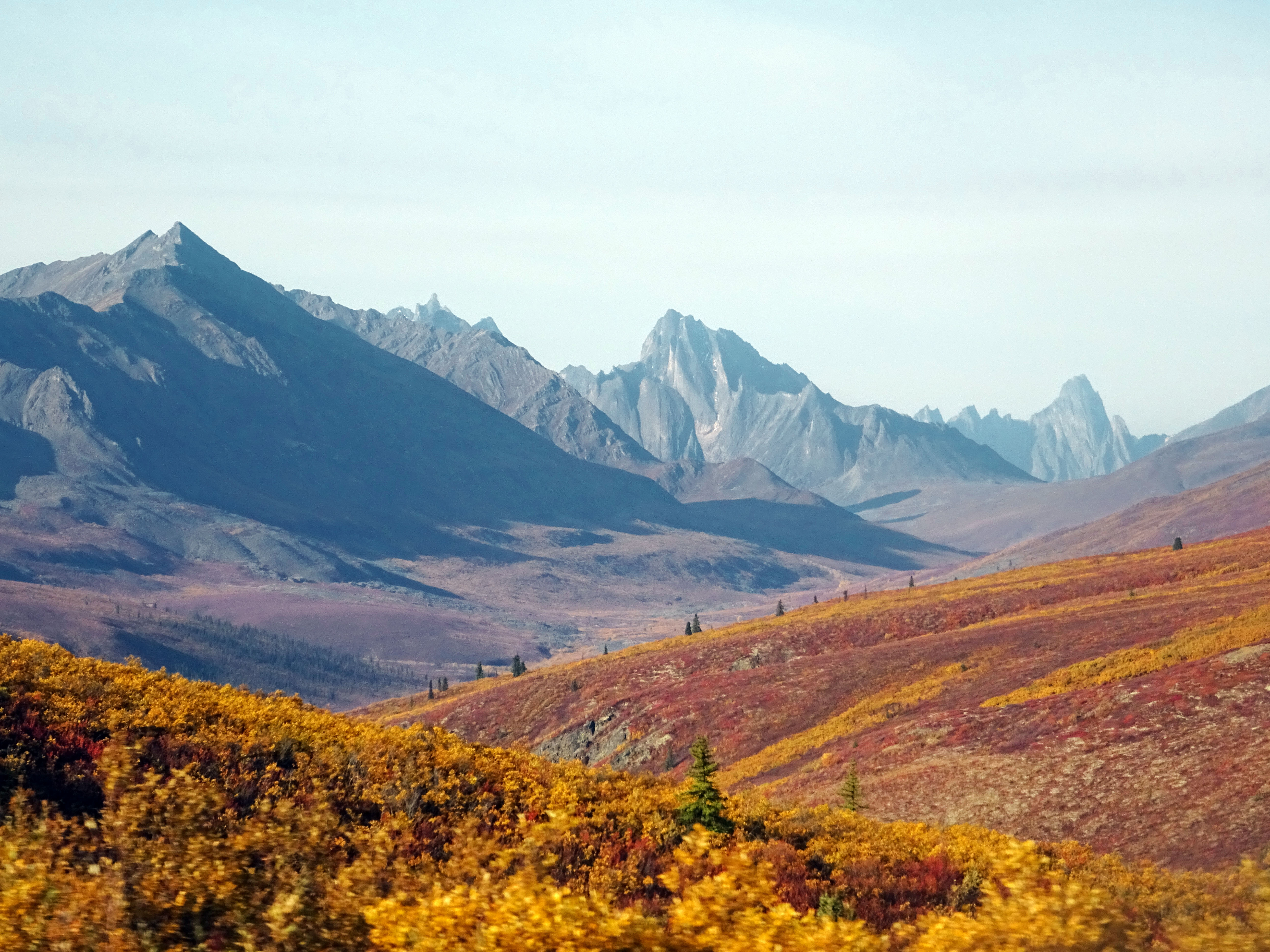 Automne Tombstone Territorial Park, Dempster Highway, Yukon