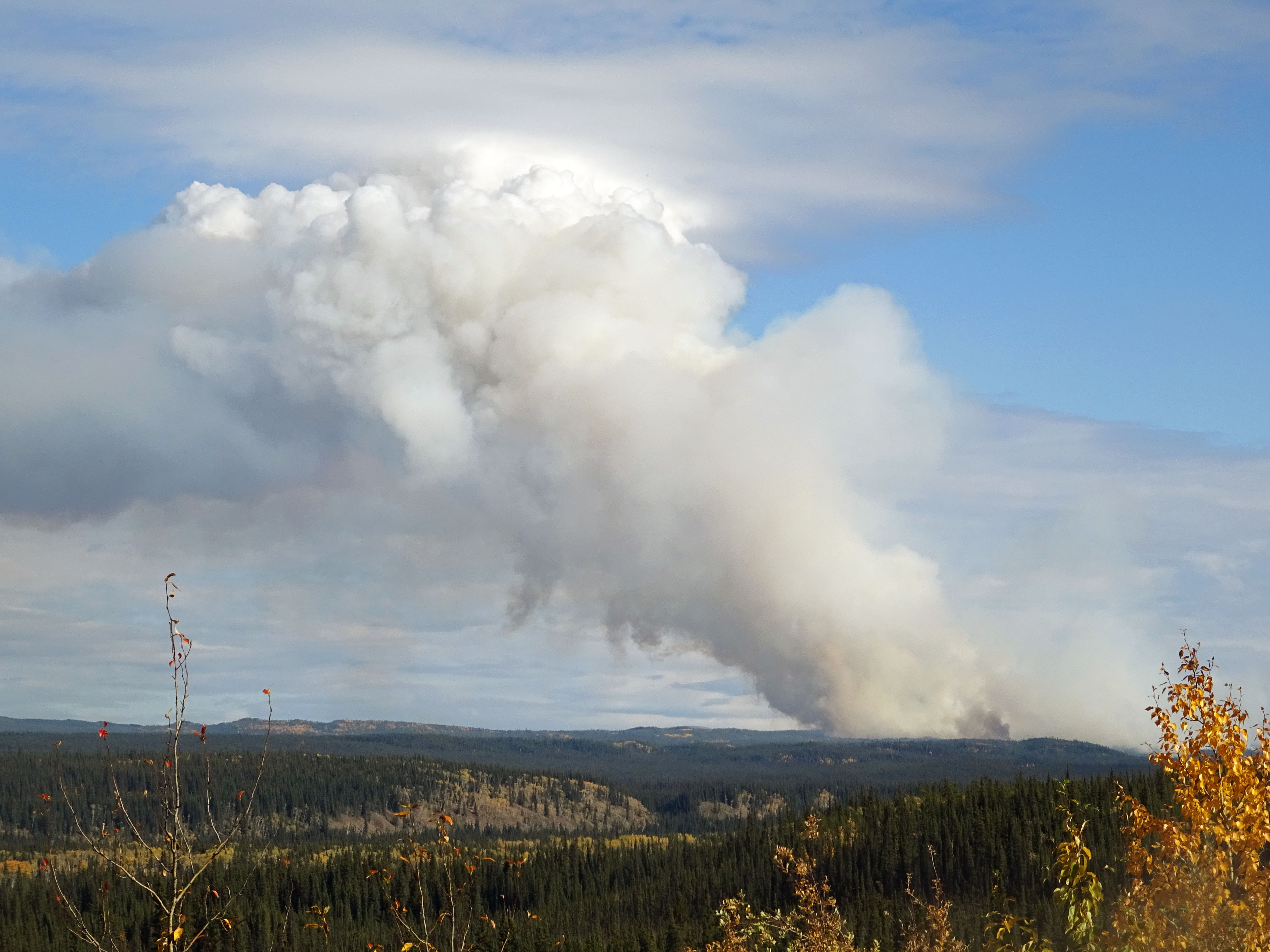 Feux de forêt au Yukon, Canada