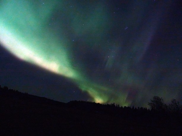 Aurore boréale à Whitehorse, Yukon Territory, Canada