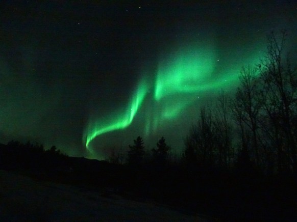Observation d'aurores boréales à Whitehorse, Yukon, Canada