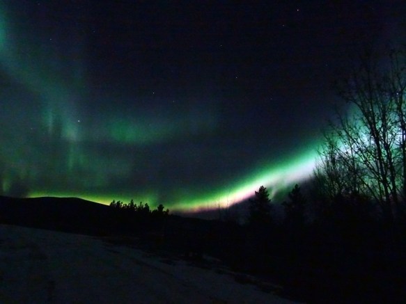 Aurores boréales à Whitehorse, Yukon, Canada