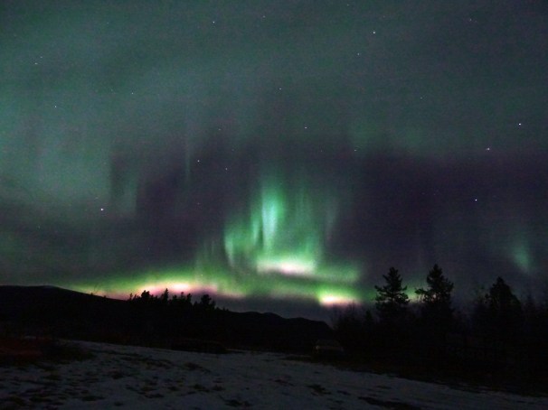 Aurores boréales à Whitehorse, Yukon Territory, Canada