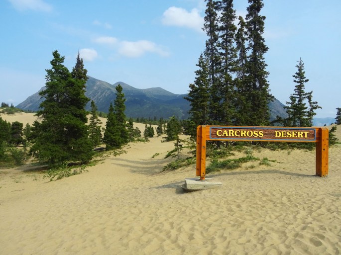 Le Désert de Carcross, Yukon Territory, Canada