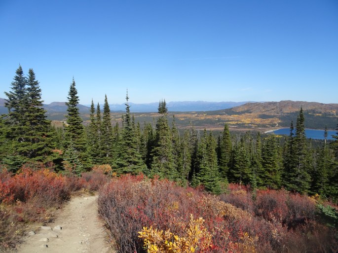 Randonnée facile à Whitehorse : Fish lake, Yukon, Canada