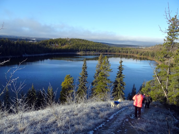 Randonnée facile Whitehorse Hidden lake Yukon Canada