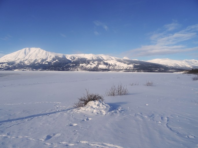 Le Yukon en hiver : Plage de Carcross, Canada
