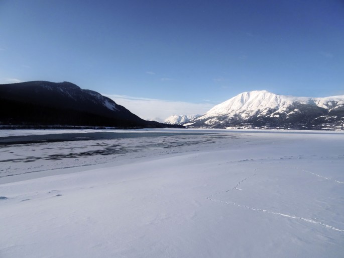 Plage de Carcross en hiver, Yukon, Canada