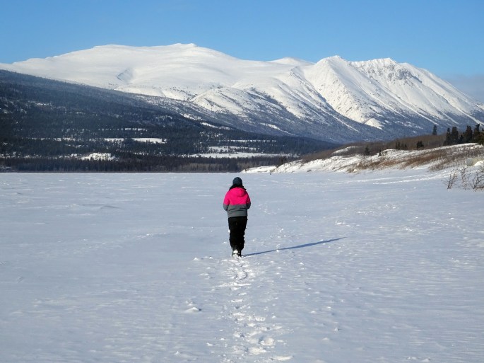 La plage de Carcross en hiver, Yukon, Canada