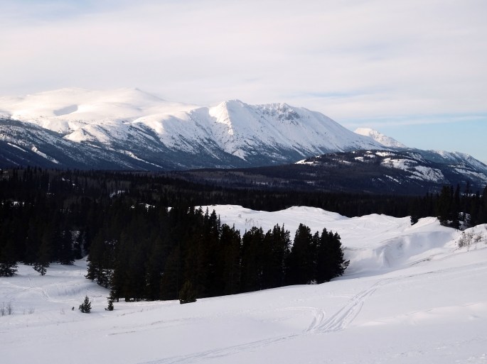 Le Désert de Carcross en hiver, Yukon, Canada