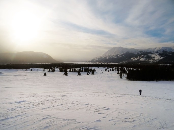 Vue sur Carcross depuis le désert, Yukon, Canada