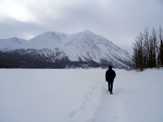Kathleen lake en hiver, Kluane national park, Yukon, Canada
