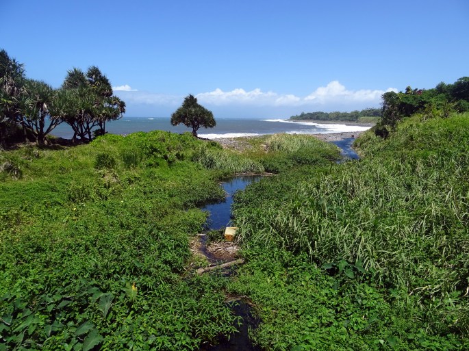 Saint-Benoit, Ile de la Réunion