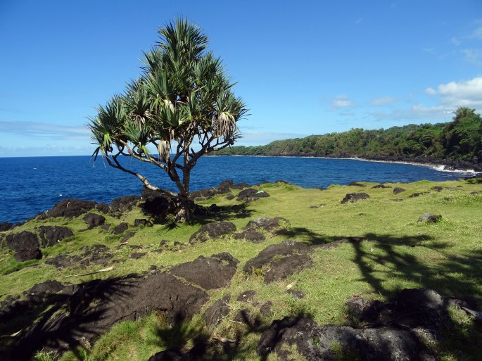 Cayenne, Sainte-Rose, Ile de la Réunion