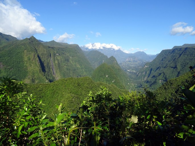 La forêt de Dioré, Saint-André, Ile de la Réunion