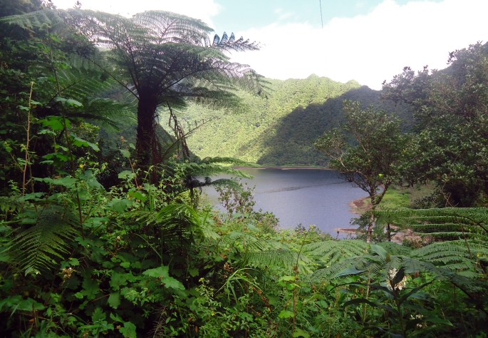 Randonnée au Grand étang, Saint-Benoit, Ile de la Réunion