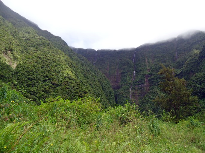 Randonnée au Grand étang, Saint-benoit, Réunion. Vue sur les cascades du bras d'Annette