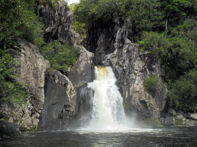 Bassin des Aigrettes, Bras-Panon, Ile de la Réunion