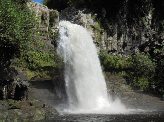 Randonnée au Bassin de la Mer, Bras-panon, Ile de la Réunion