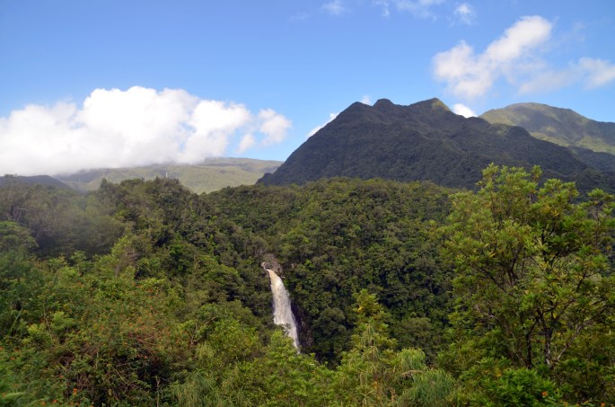 La Cascade du chien, Bras-Panon, Ile de la Réunion