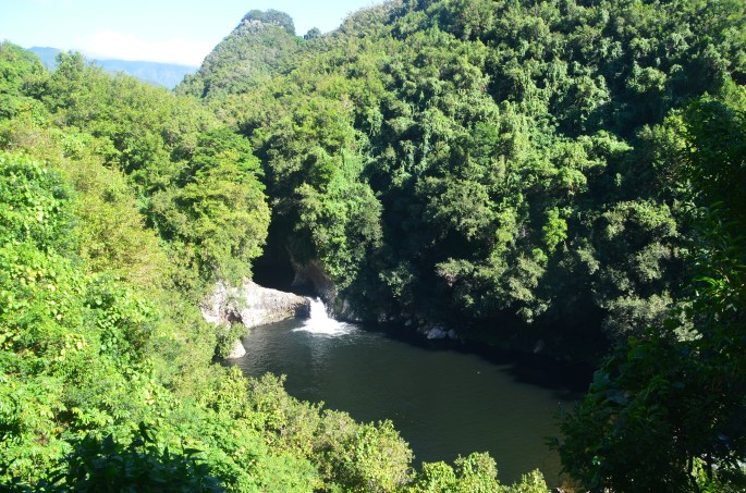 Randonnée facile à Saint-Benoit, Ile de la Réunion, Bassin la Mer Bassin la Paix