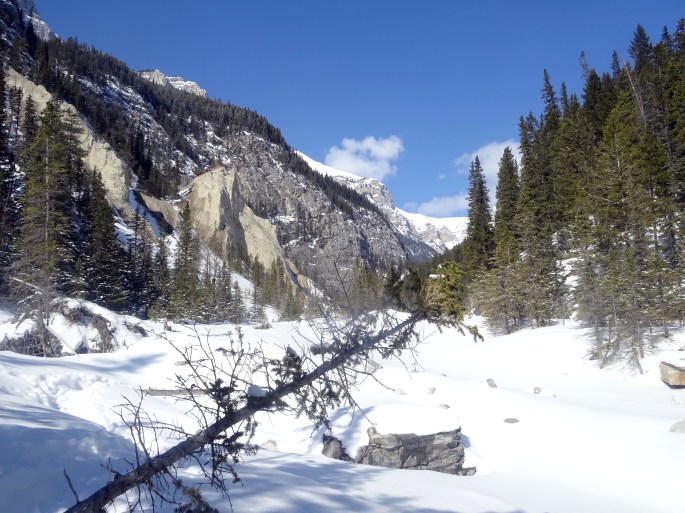 Randonnée Grotto canyon, Alberta, Canada