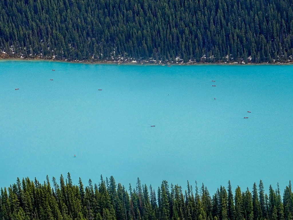 Randonnée Little Beehive via le Lac Louise, Parc national de Banff, Alberta, Canada