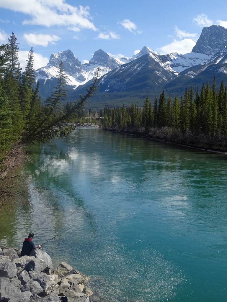 Rivière Bow, Canmore, Alberta, Canada