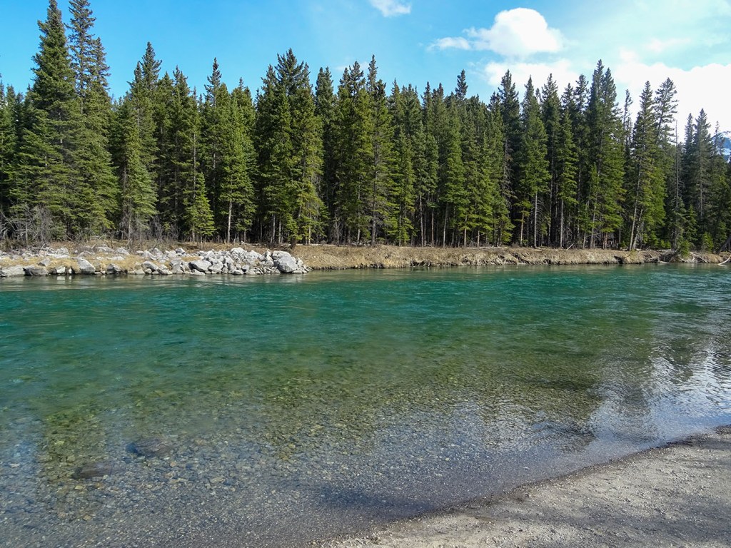 Rivière Bow, Canmore, Alberta, Canada